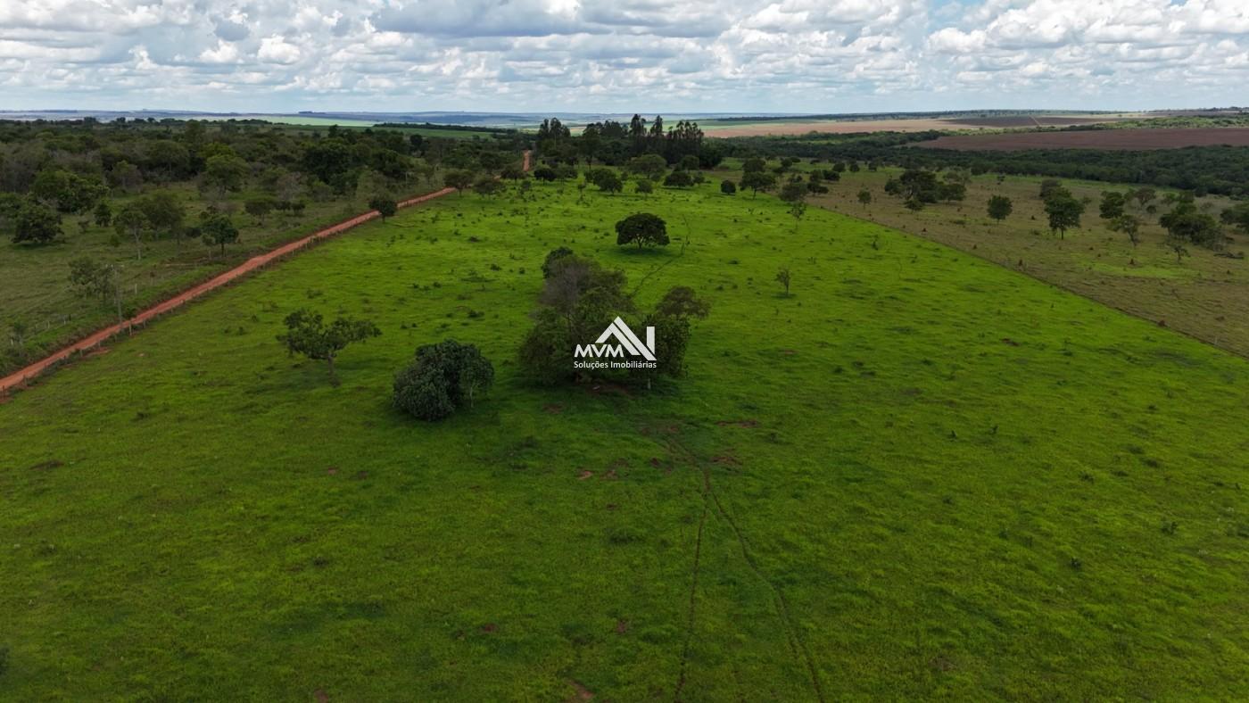 Chácara à venda com 2 quartos, 145000m² - Foto 24
