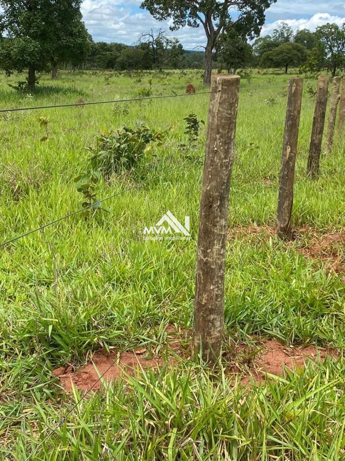 Chácara à venda com 2 quartos, 145000m² - Foto 26