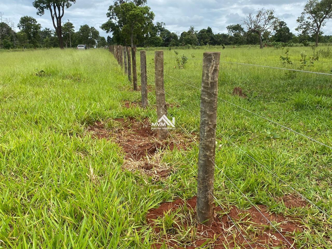 Chácara à venda com 2 quartos, 145000m² - Foto 27