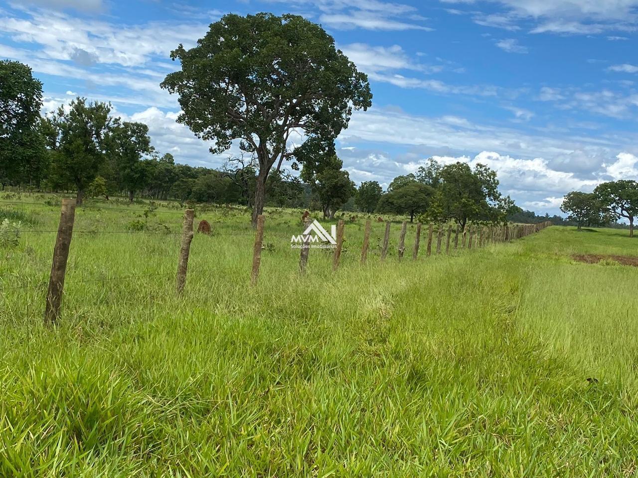 Chácara à venda com 2 quartos, 145000m² - Foto 28