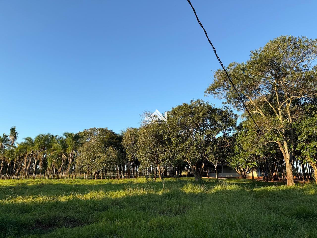 Chácara à venda com 2 quartos, 145000m² - Foto 22