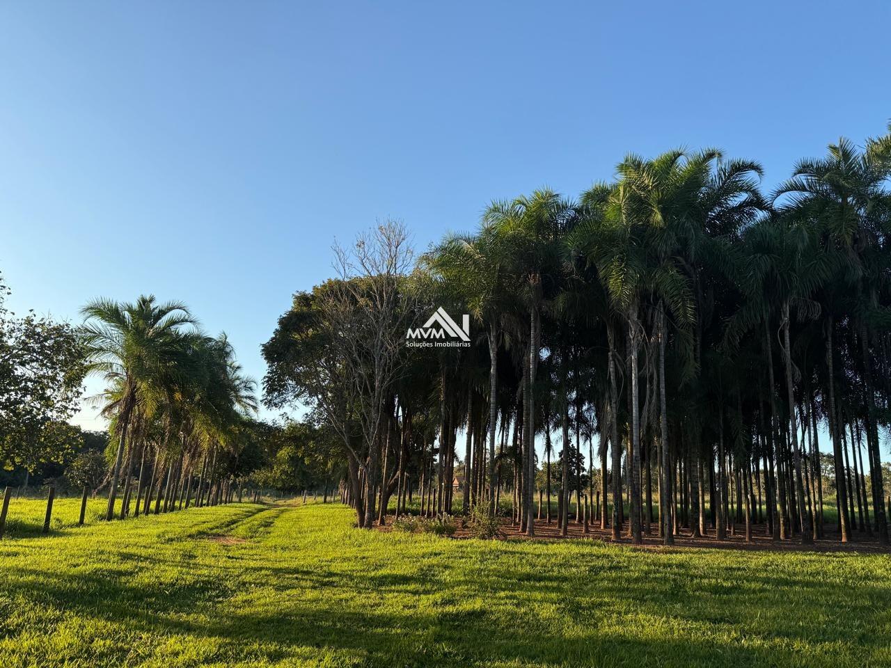 Chácara à venda com 2 quartos, 145000m² - Foto 21