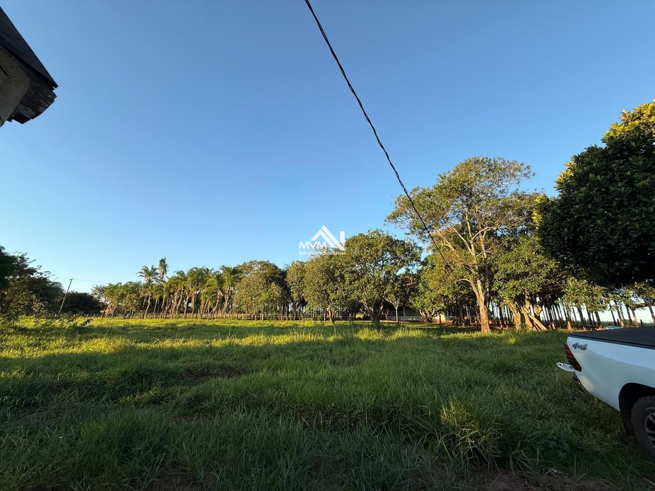 Chácara à venda com 2 quartos, 145000m² - Foto 23